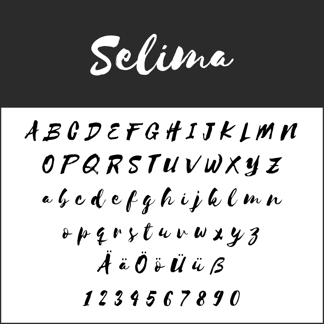 Brush Fonts - Free Font Selima