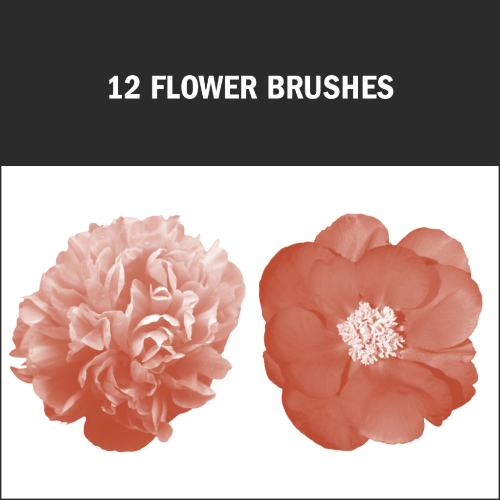 Ces pinceaux gratuits avec effet floral font la différence grâce à leurs nombreux détails en filigranes.